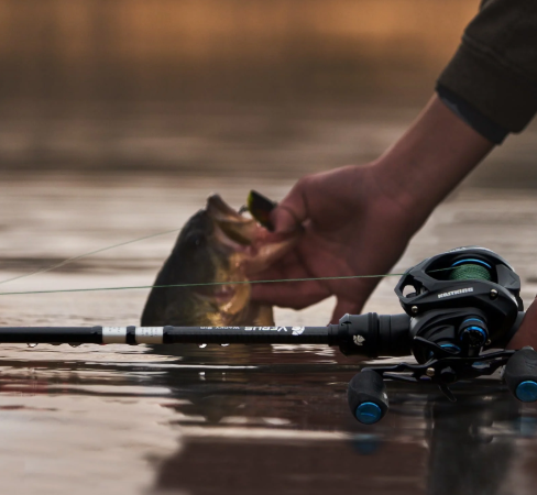 Bass Fishing