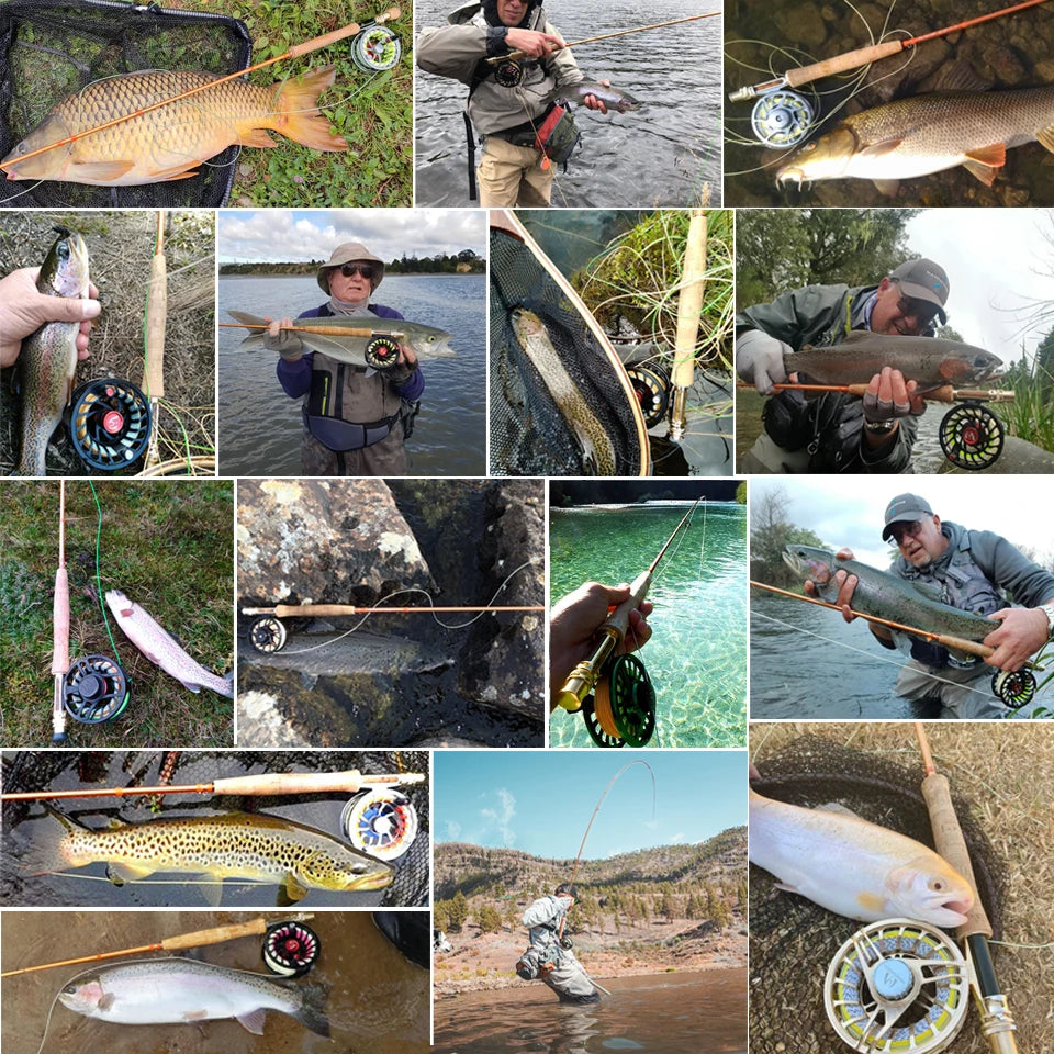 Maximumcatch Skyhigh Gold 9FT 5/6/8WT IM12 Japanese Carbon Fly Fishing Rod 4PCS Half-Well Fast Action Fly Rod